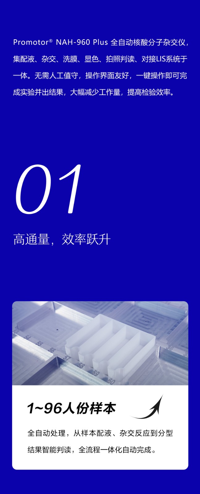 全自动核酸分子杂交仪960_02.jpg